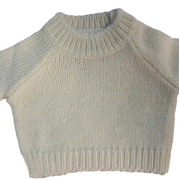 Teddy jumper Thumbnail